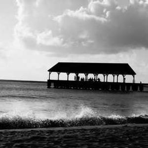 miami1688 เข้าถึงเบต้า สล็อตใหม่